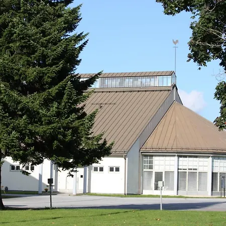 Vanha Maamies Suonenjoki